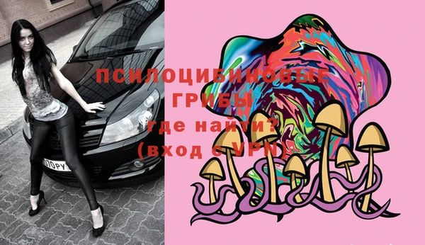крисы Липки