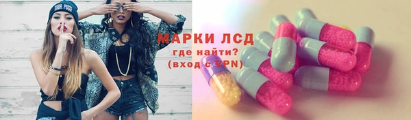 крисы Липки