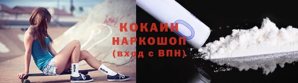 гашик Болохово
