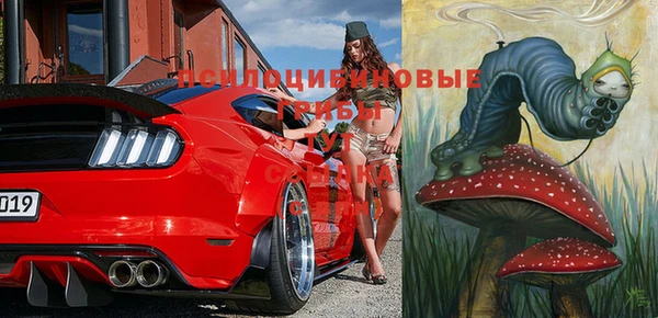 соль ск Лиски