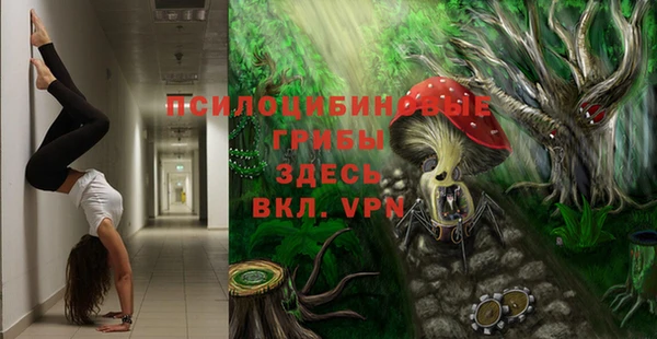 крисы Липки