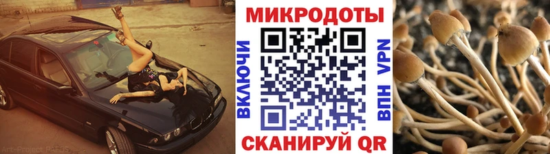 Галлюциногенные грибы прущие грибы  цены   ОМГ ОМГ вход  Нязепетровск 
